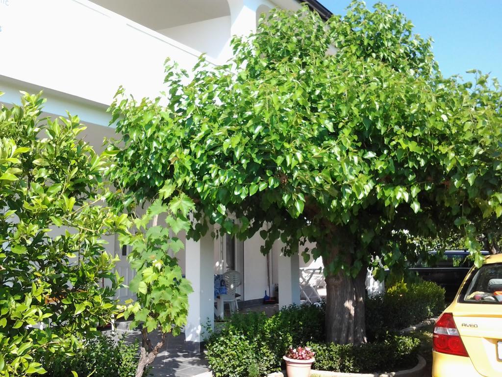 Holiday S&M Lopar Esterno foto